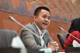 Mufti Anam : Rasanya Kementerian BUMN Jadi Macan Ompong