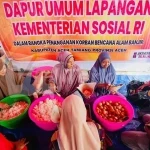 kemensos-sudah-salurkan-bantuan-rp-667-m-untuk-korban-bencana-sumatera-1765099818448_169