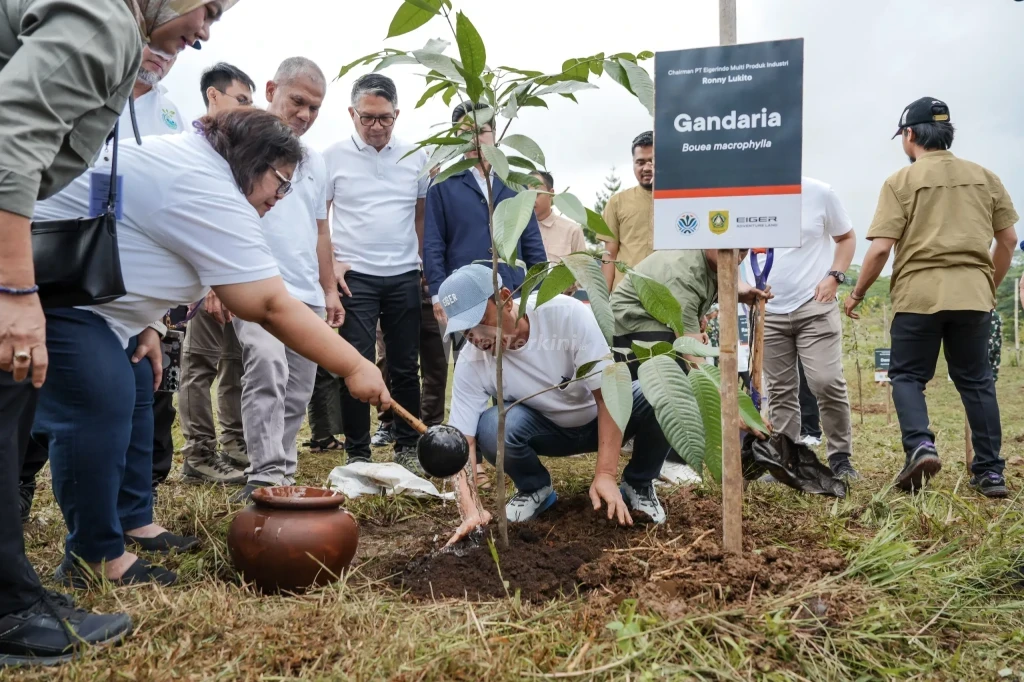 WhatsApp Image 2025-12-07 at 18.59.38