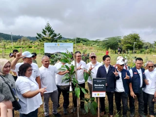 WhatsApp Image 2025-12-07 at 18.59.39(1)