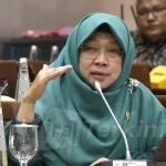 Anggota Komisi XI DPR RI, Anis Byarwati
