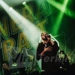 TFP - Live from Suffocate City.