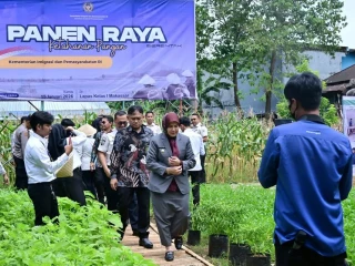 Panen Raya Lapas Sulsel Produksi 3,3 Ton Pangan, Warga Binaan Berdaya dan Produktif