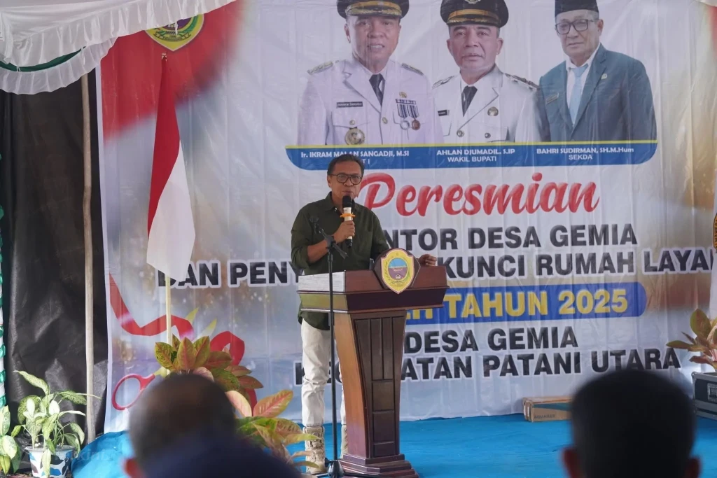 WhatsApp Image 2026-01-04 at 00.25.45