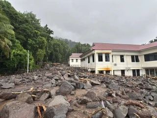 WhatsApp Image 2026-01-05 at 14.18.24