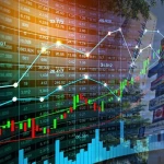 WhatsApp Image 2026-01-10 at 13.32.10(1)