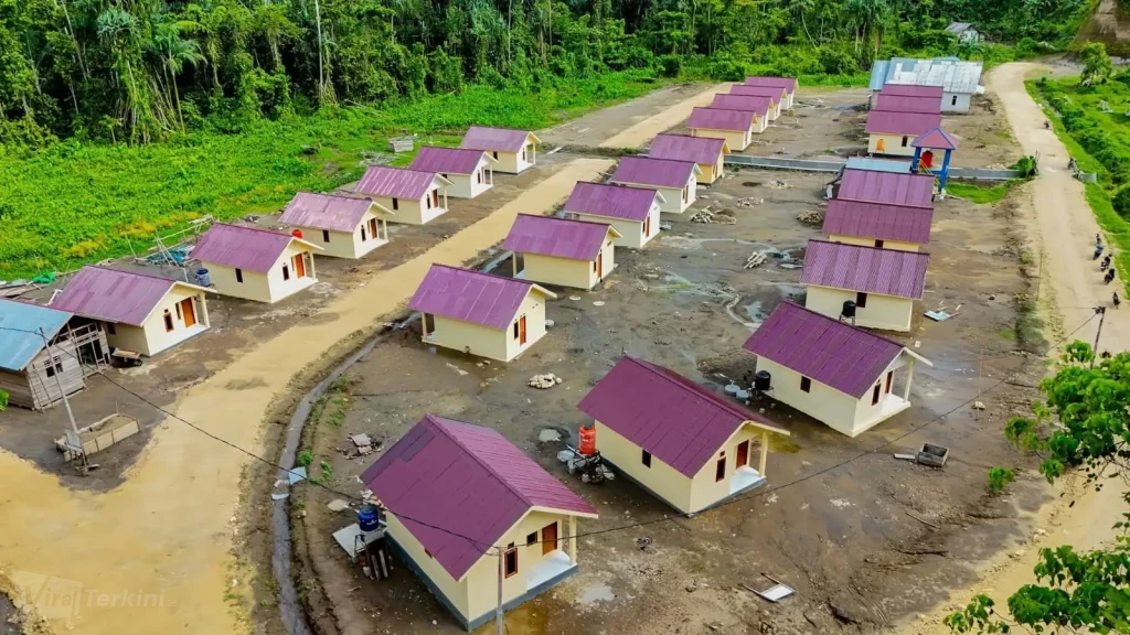 WhatsApp Image 2026-01-15 at 09.54.38(1)