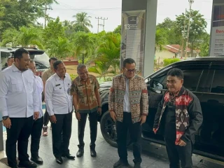 Anggota DPR RI Soroti Gangguan Listrik di PLBN NTT