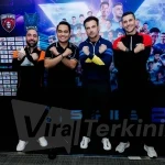 XSeries-2_foto mak (22)