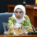 Anggota Komisi IX DPR RI, Neng Eem Marhamah Zulfa,