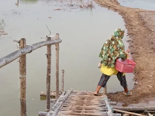 4.000 Hektare Tambak Muaragembong Bekasi Akan Direvitalisasi