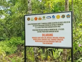 Izin Dicabut Jokowi 2022, Munculnya Plang PKH PT MRS di Halteng Picu Keresahan Warga