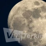 image-20251127054432