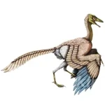 Archaeopteryx