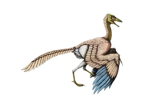 Archaeopteryx