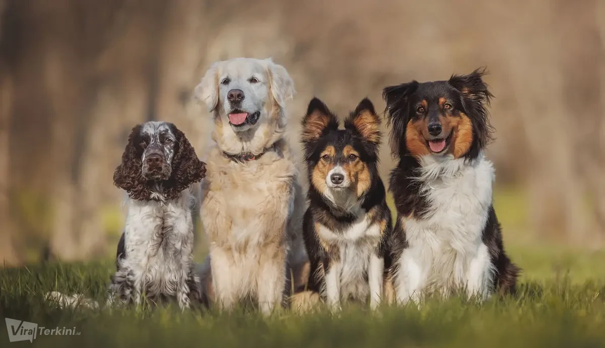 palaeolithic-dogs-two-column.jpg.thumb.1920.1920