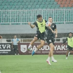 WhatsApp Image 2026-04-02 at 17.41.39 (1)