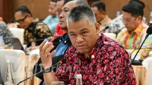 Anggota Komisi II DPR RI, Giri Ramanda Kiemas