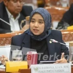 Anggota Komisi VIII DPR RI, Dini Rahmania,