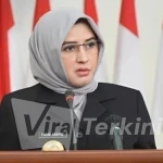 Fadia Arafiq
