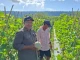 Turun Langsung ke Lahan, Kadis PMD Halteng Kawal Panen Raya Melon 4,5 Ton di Wairoro Indah
