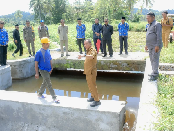 ​Atasi Dampak El Nino, Bupati Halteng Targetkan 200 Hektar Sawah Produktif