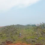 Lanskap kawasan perbukitan yang masuk dalam area kerja PT Anugrah Sukses Mining (PT ASM). Perwakilan Eksternal PT ASM menegaskan operasional di lapangan serta hak atas wilayah konsesi tetap berjalan normal demi hukum pasca-putusan Kasasi Mahkamah Agung mengenai sengketa akta internal. Foto: dok. PT ASM
