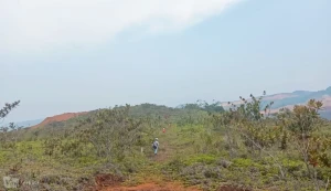 Lanskap kawasan perbukitan yang masuk dalam area kerja PT Anugrah Sukses Mining (PT ASM). Perwakilan Eksternal PT ASM menegaskan operasional di lapangan serta hak atas wilayah konsesi tetap berjalan normal demi hukum pasca-putusan Kasasi Mahkamah Agung mengenai sengketa akta internal. Foto: dok. PT ASM