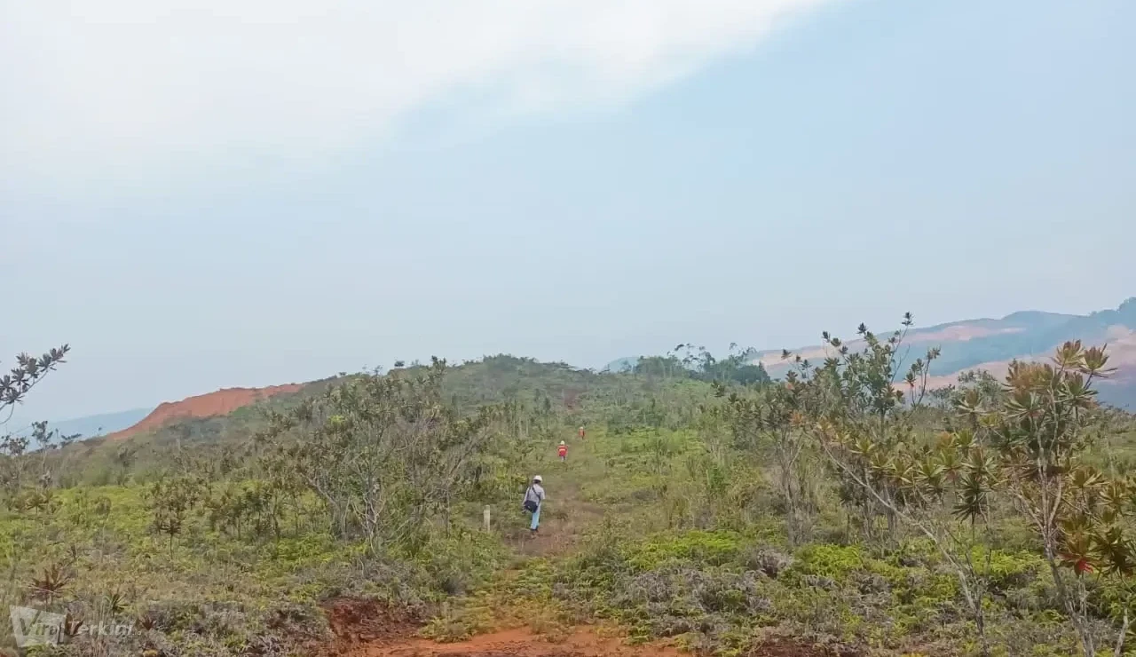 Lanskap kawasan perbukitan yang masuk dalam area kerja PT Anugrah Sukses Mining (PT ASM). Perwakilan Eksternal PT ASM menegaskan operasional di lapangan serta hak atas wilayah konsesi tetap berjalan normal demi hukum pasca-putusan Kasasi Mahkamah Agung mengenai sengketa akta internal. Foto: dok. PT ASM