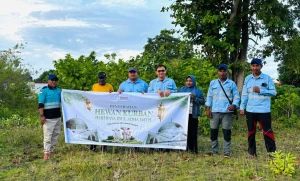 Manajemen PT Anugrah Sukses Mining (ASM) menyerahkan bantuan sapi qurban secara simbolis kepada perwakilan masyarakat Desa Umera di Kecamatan Pulau Gebe, Kabupaten Halmahera Tengah. (dok. PT ASM)