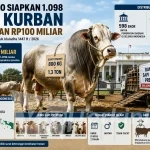 Sapi Kurban Presiden Tembus 1,3 Ton, Anggaran Capai Rp100 Miliar
