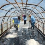 Petugas dan warga saat memanen kristal garam di dalam tunnel tambak garam Desa Umiyal, Pulau Yoi, Halmahera Tengah. Kehadiran fasilitas ini menjadikan Desa Umiyal pelopor produksi garam pertama di Maluku Utara. (Foto: ist)