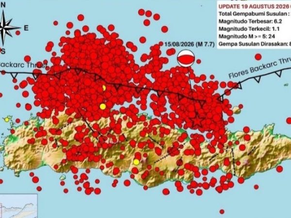 BMKG Catat 2.768 Gempa Susulan Usai Gempa M7,7 di Flores